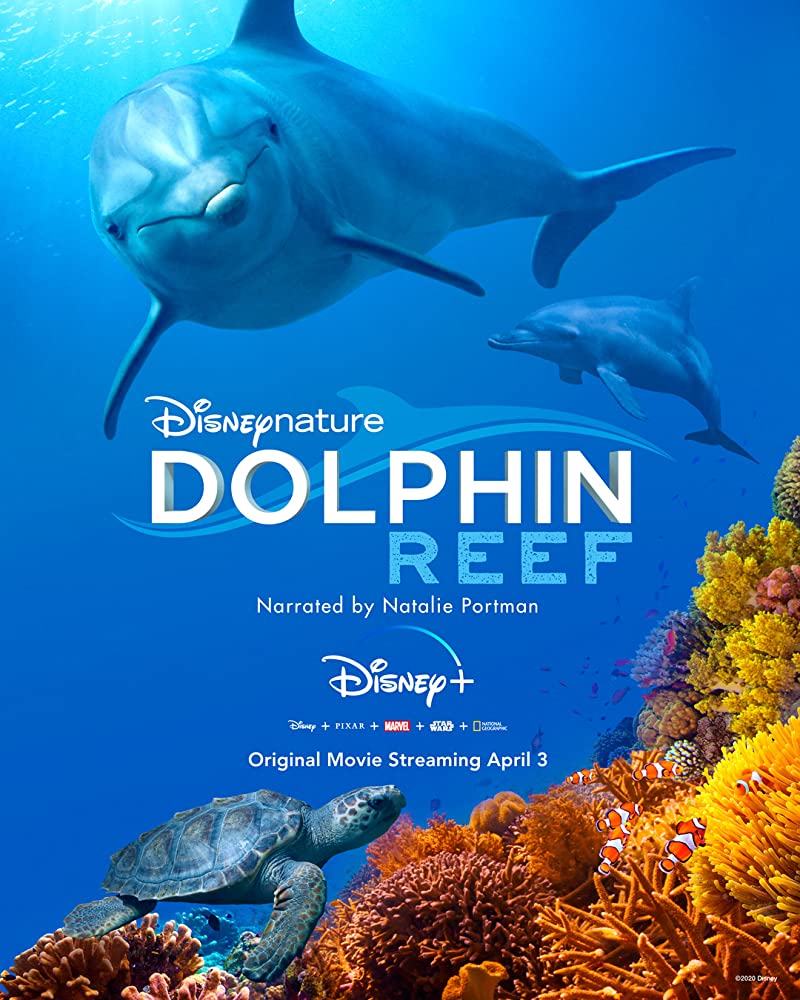 Download Dolphin Reef (2020)